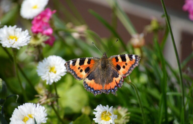 MPCVault Launches Instant Stablecoin-to-Fiat Off-Ramping