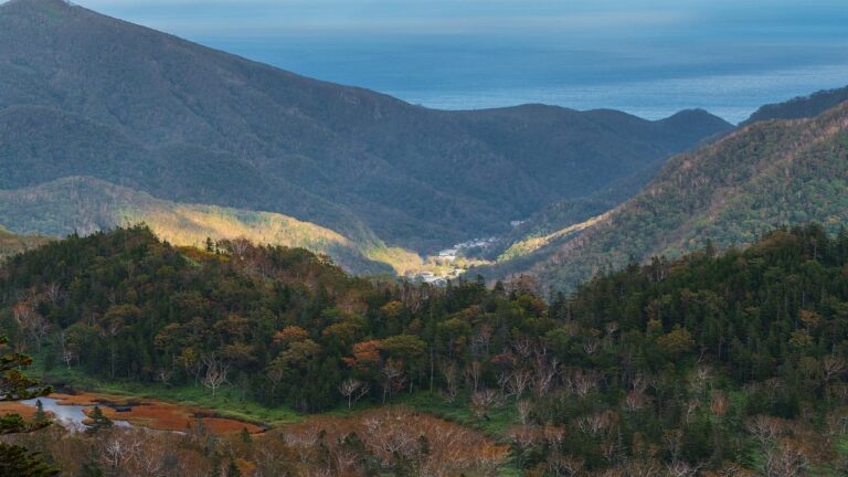 Zaivio Launches Official Telegram Group as Primary Community Hub for AI and Blockchain Updates