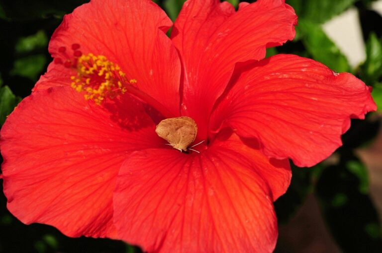 5IR Funds Leads $10M Round in GreatX to Unlock Real Estate Yield Through DeFi