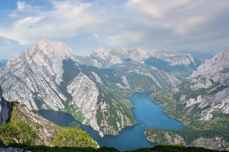 Cardano pulls back, but reaches the low of $0.77 again