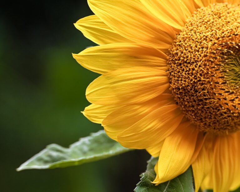 Nasdaq Delisting Notice and Hearing Request