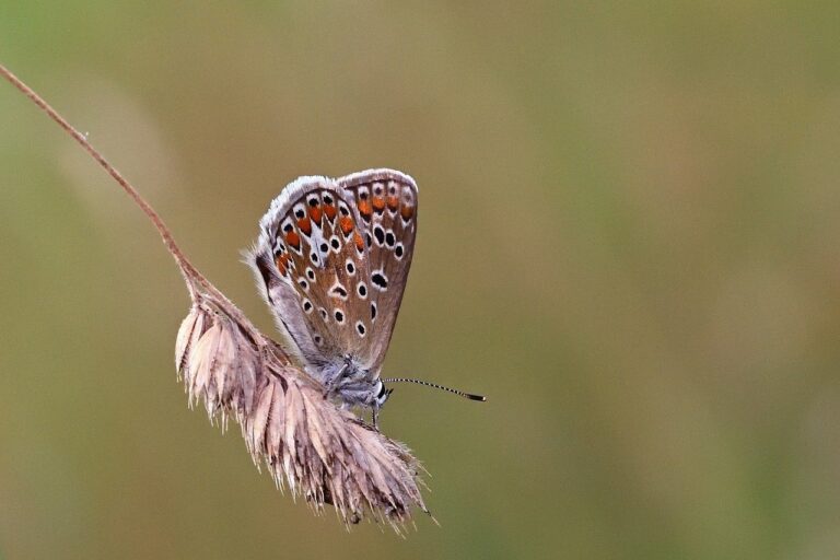Ethereum Is Still In The Overbought Area At $4,700