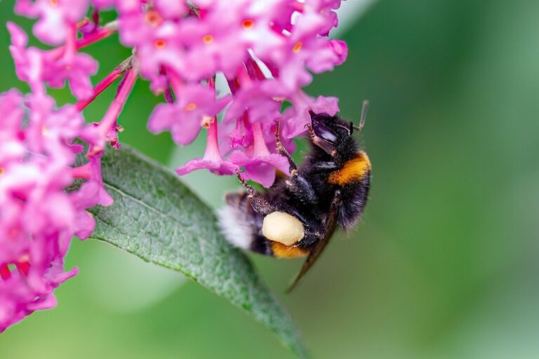 Lowry Solutions Renews SOC 2 Type 1 Certification, Reinforcing Continued Commitment to Security and Trust