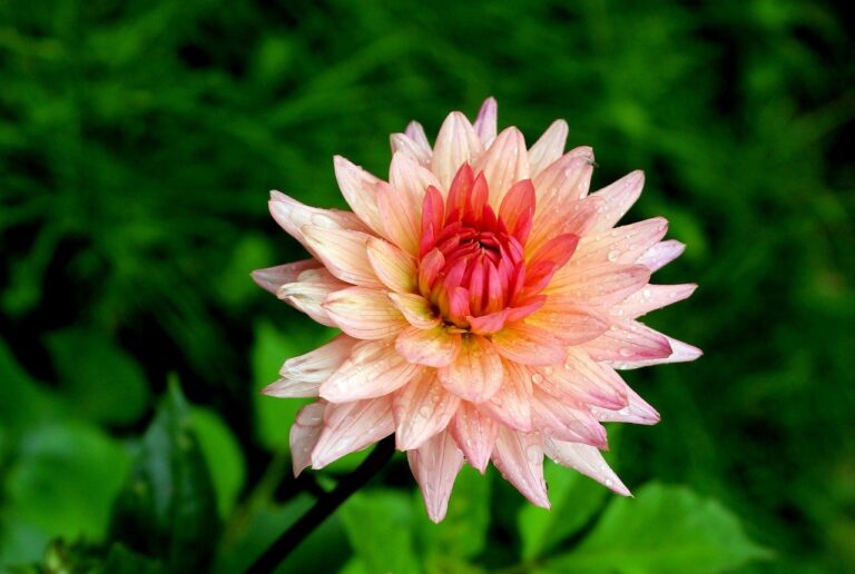 Global Trust System™ Announces Availability of Patented Blockchain Technology for Licensing and Acquisition