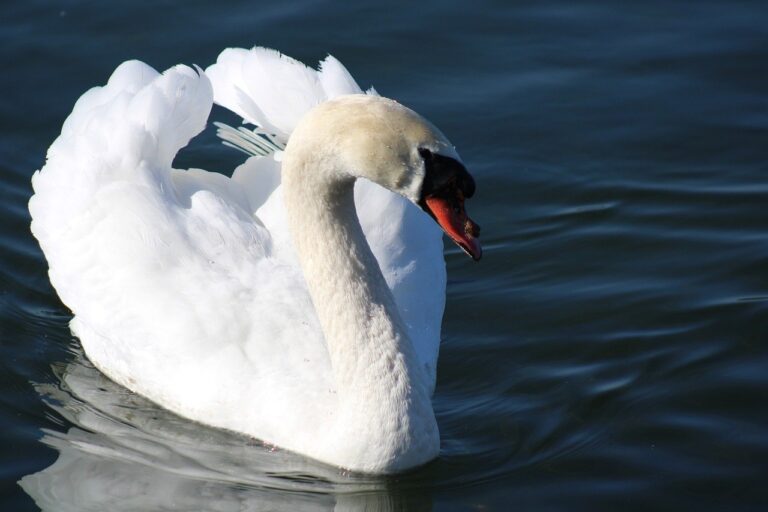 Ethereum's "Fusaka Era": Vitalik Buterin 2026 "Rebellion".