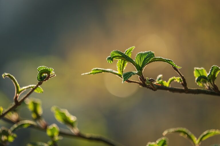 CryptoGuestPosts.com: Bitcoin Slumps Below the $68,000 Barrier