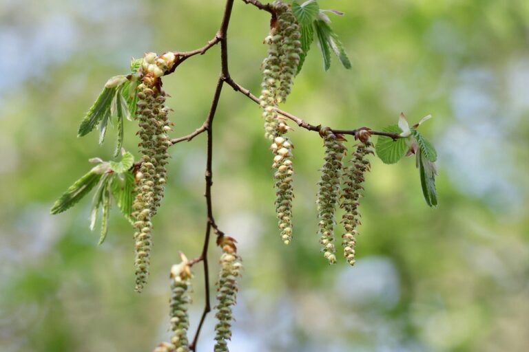 Former Booz Allen Intelligence Executive Paul Chi Joins Qtonic Quantum as Quantum Threats to National Security Accelerate