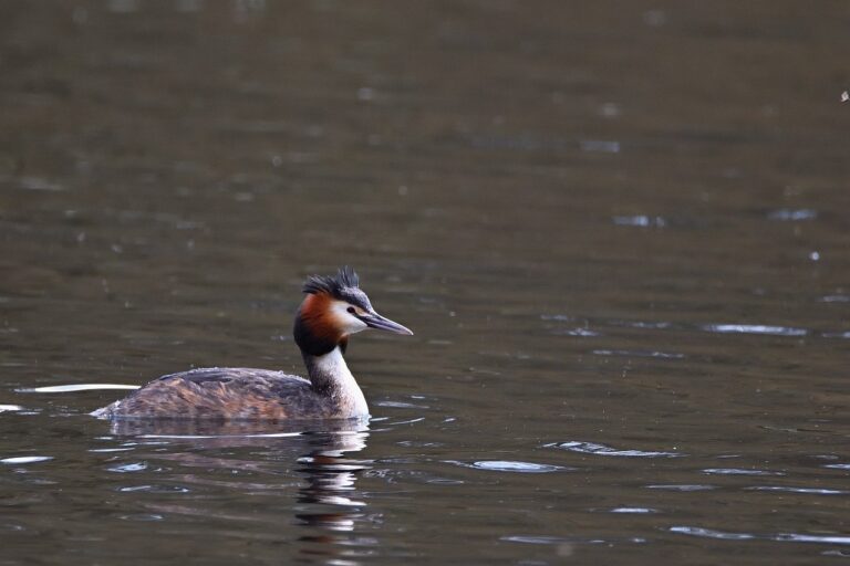 The HUB @ Office Logic Introduces Structured Deal Flow Access, Investor Readiness Engine, and Accelerator Program at Startup OLÉ Miami 2026