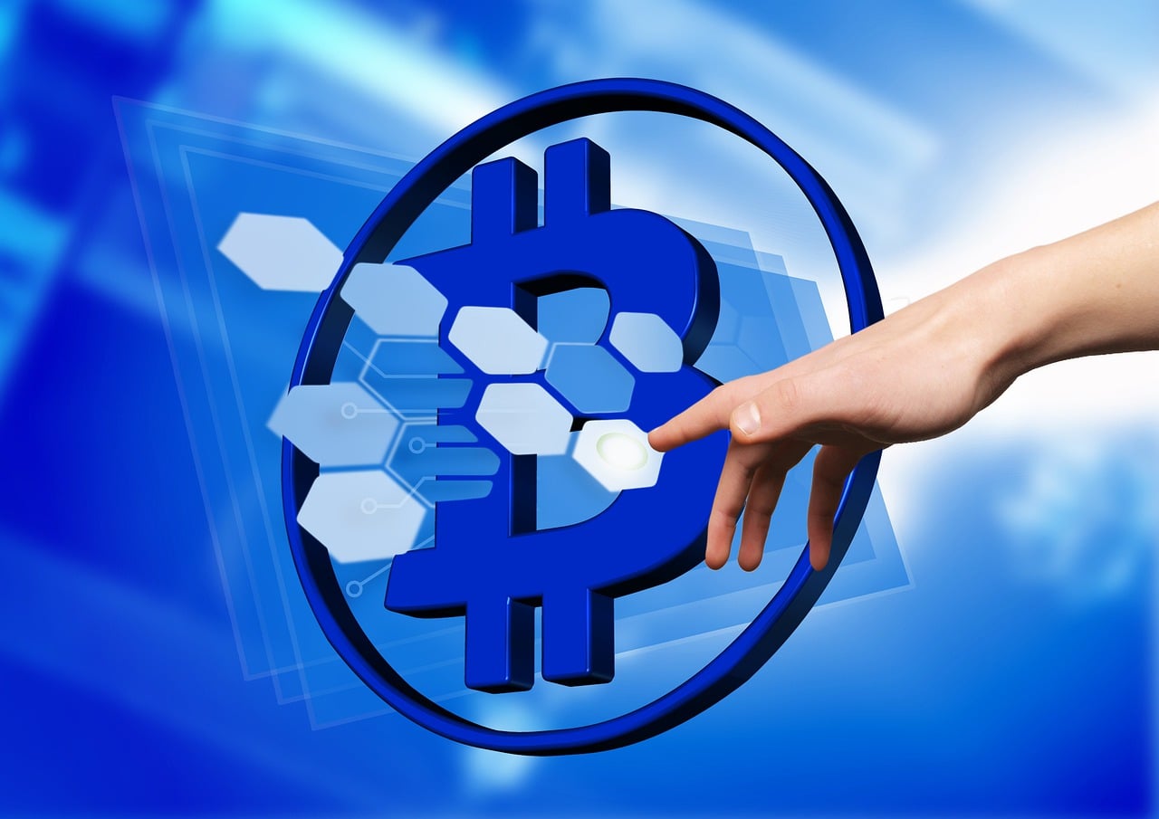 Wall Street Defies Retail Panic: Analyzing the Institutional Crypto Landscape