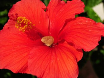 5IR Funds Leads $10M Round in GreatX to Unlock Real Estate Yield Through DeFi