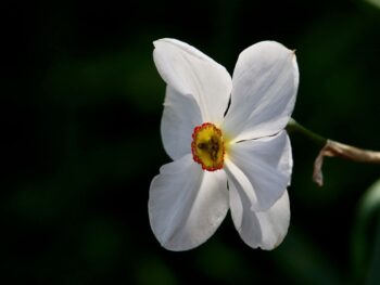 Best AI-Powered Cryptocurrency Trading Strategies for 2026, Helping You Easily Earn Passive Income