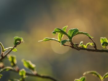 CryptoGuestPosts.com: Bitcoin Slumps Below the $68,000 Barrier