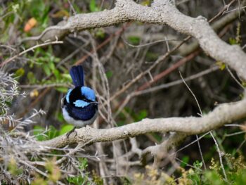 CryptoGuestPosts - Hyperliquid Risks Fall Below the $22 Support