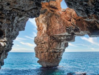 CryptoGuestPosts Weekly Crypto News Digest - Big IPOs and Altcoin Trends to Watch