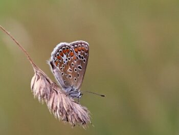 Ethereum Is Still In The Overbought Area At $4,700
