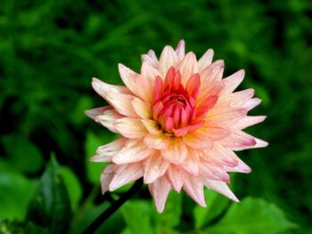 Global Trust System™ Announces Availability of Patented Blockchain Technology for Licensing and Acquisition