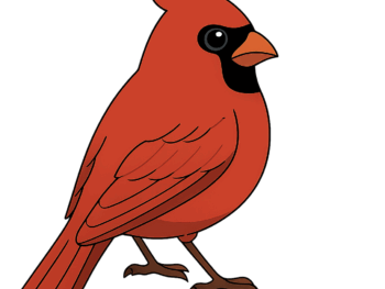 Hashgraph Online Launches HCS‑14: Universal Agent IDs That Bridge Web2 and Web3