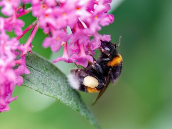 Lowry Solutions Renews SOC 2 Type 1 Certification, Reinforcing Continued Commitment to Security and Trust