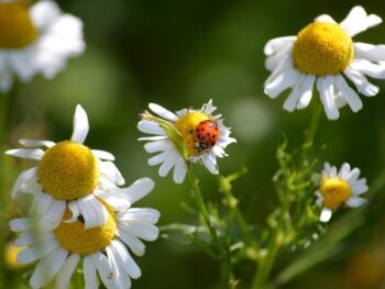 SeedList Launching Institutional Crypto Crowdfunding Project to Empower Retail Investors and Disrupt the VC-Dominated Crypto Fundraising Landscape