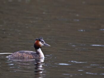 The HUB @ Office Logic Introduces Structured Deal Flow Access, Investor Readiness Engine, and Accelerator Program at Startup OLÉ Miami 2026