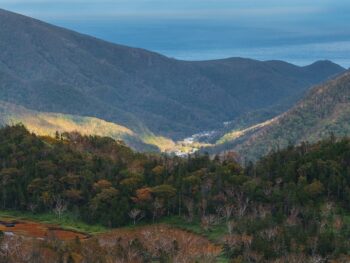 Zaivio Launches Official Telegram Group as Primary Community Hub for AI and Blockchain Updates